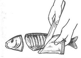 Ilustracja do pytania 6