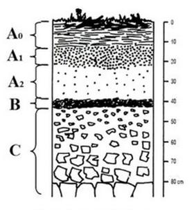 Ilustracja do pytania 29