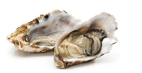 Ilustracja do pytania 22