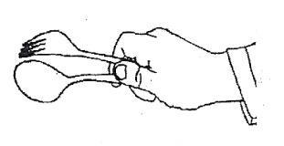 Ilustracja do odpowiedzi D