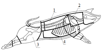 Ilustracja do pytania 32