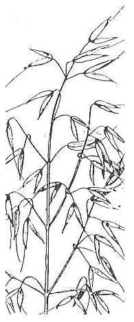 Ilustracja do odpowiedzi A