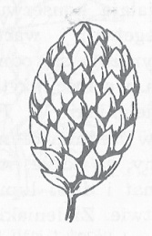 Ilustracja do odpowiedzi A