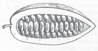 Ilustracja do odpowiedzi B