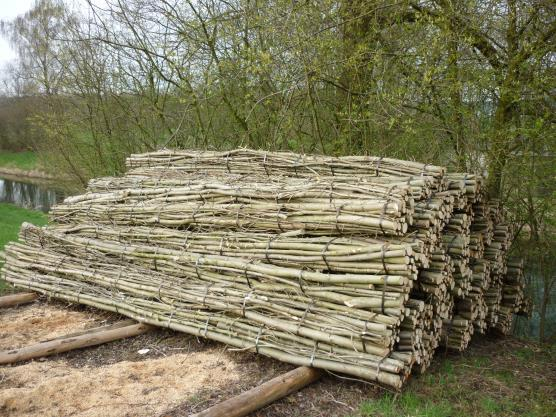 Ilustracja do pytania 38