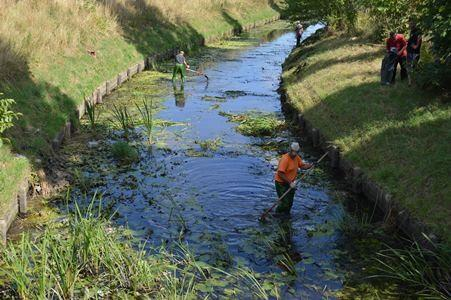 Ilustracja do pytania 30