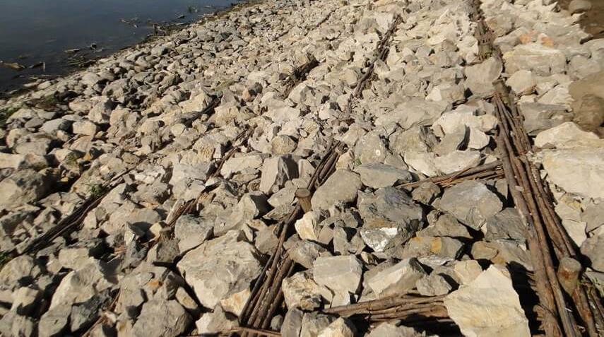 Ilustracja do pytania 29