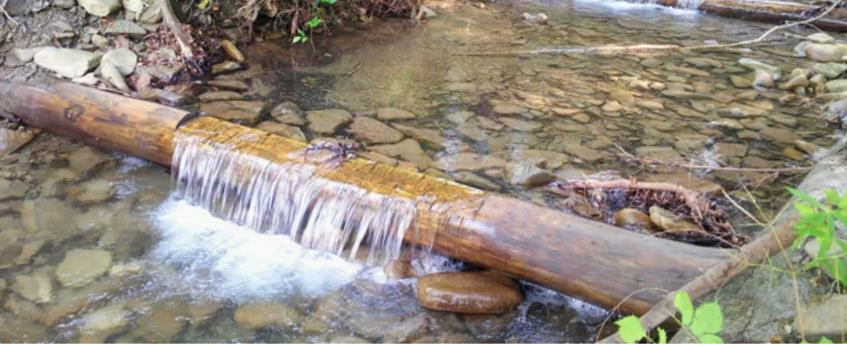 Ilustracja do pytania 40