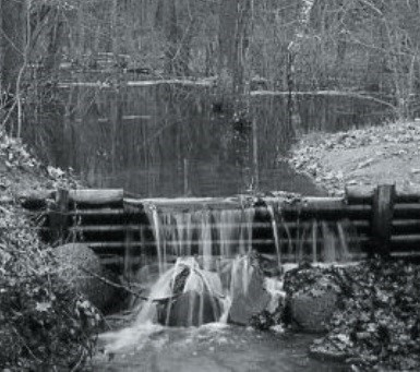 Ilustracja do pytania 34