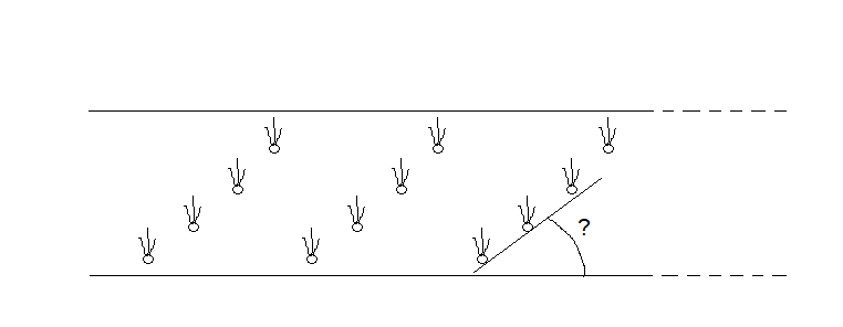 Ilustracja do pytania 5