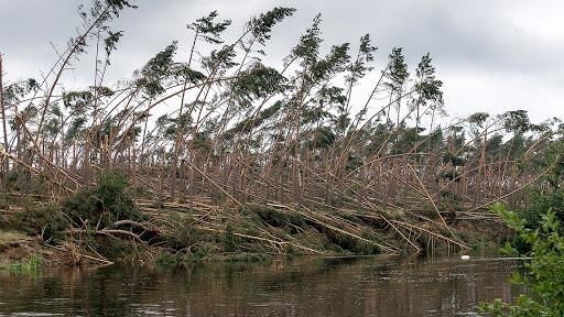 Ilustracja do pytania 5