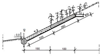 Ilustracja do pytania 33