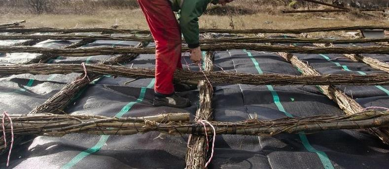 Ilustracja do pytania 30