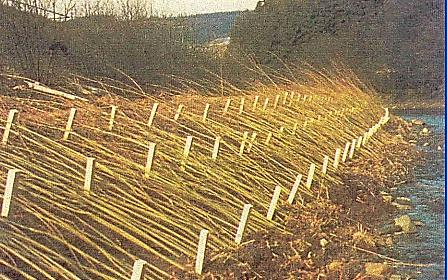 Ilustracja do pytania 8