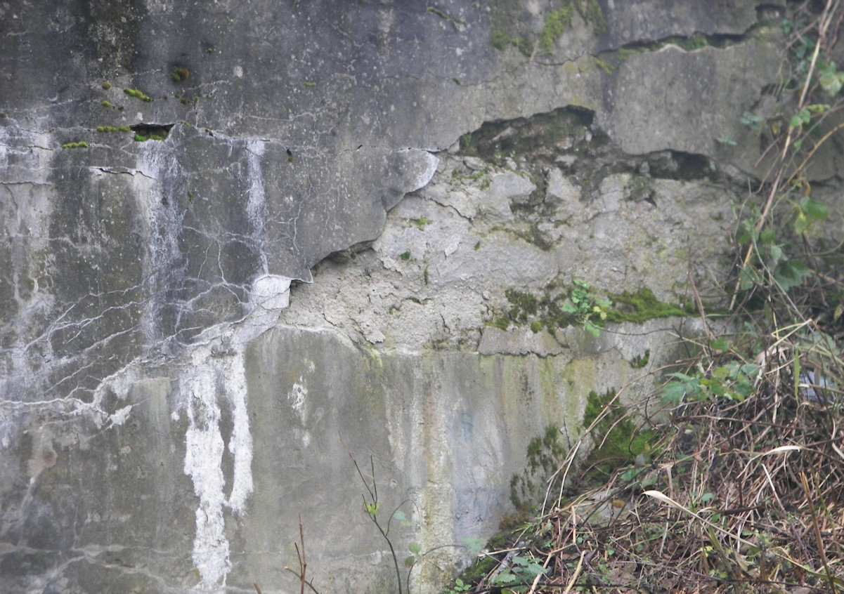 Ilustracja do pytania 29