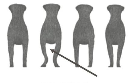 Ilustracja do pytania