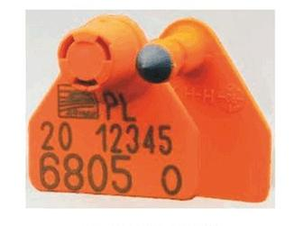 Ilustracja do pytania