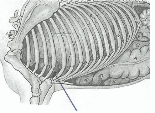 Ilustracja do pytania 40
