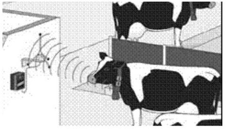 Ilustracja do pytania 17