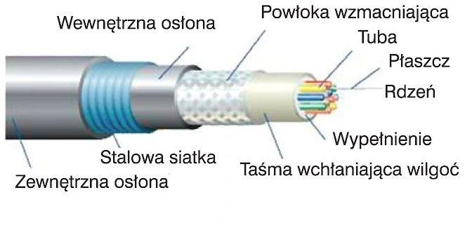 Ilustracja do pytania 15