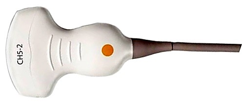 Ilustracja do pytania 40