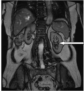 Ilustracja do pytania 6