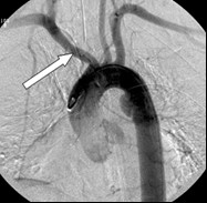 Ilustracja do pytania 32