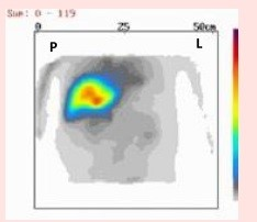 Ilustracja do pytania 2
