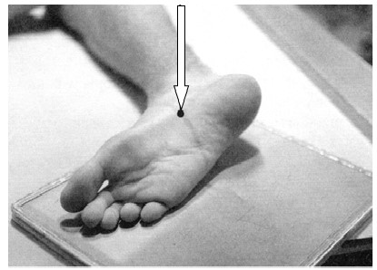 Ilustracja do pytania 21