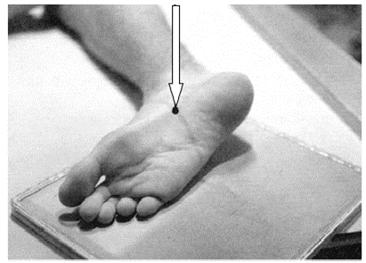 Ilustracja do pytania 22