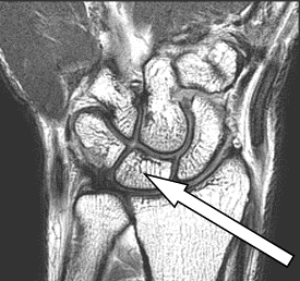 Ilustracja do pytania 24