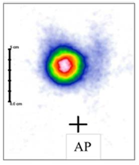 Ilustracja do pytania 21