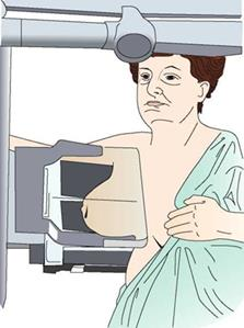 Ilustracja do pytania 8