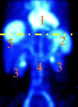 Ilustracja do pytania 36