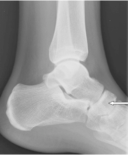 Ilustracja do pytania 24