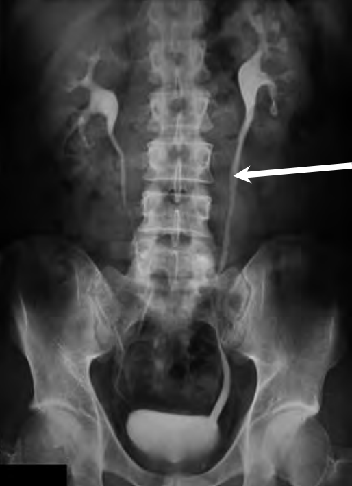 Ilustracja do pytania 31