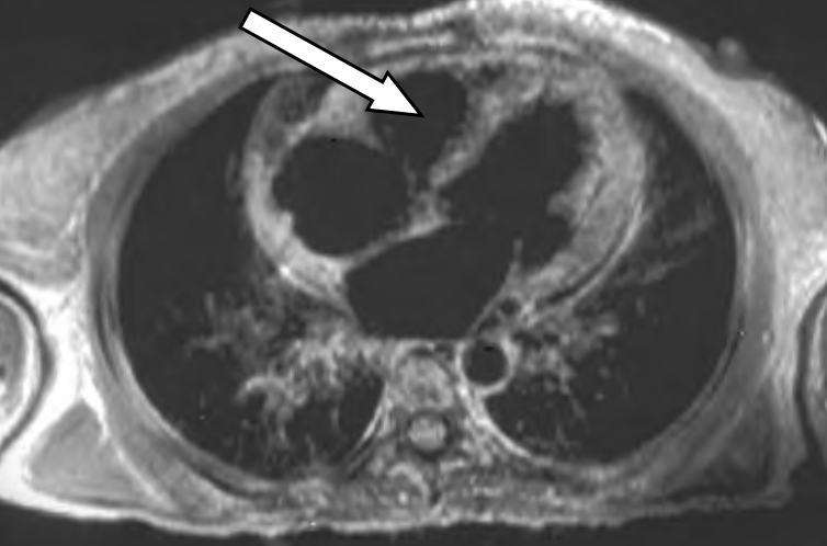 Ilustracja do pytania 30