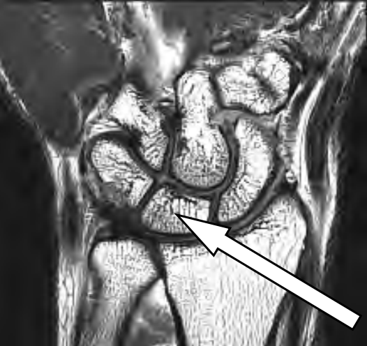 Ilustracja do pytania 28