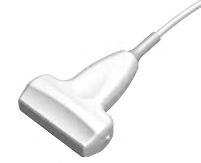 Ilustracja do pytania 25