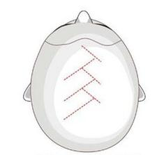 Ilustracja do pytania 29