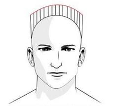 Ilustracja do pytania 15