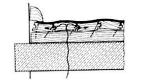 Ilustracja do pytania 27