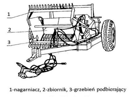 Ilustracja do pytania 25