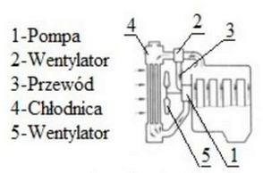 Ilustracja do pytania 25