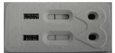 Ilustracja do pytania 3