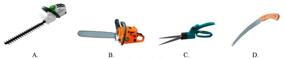 Ilustracja do pytania