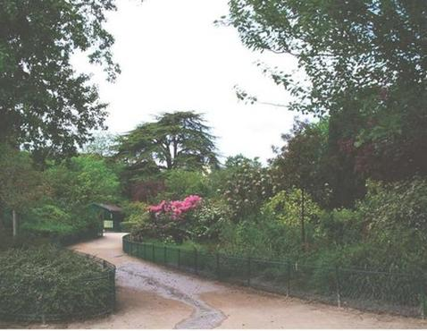 Ilustracja do pytania 10