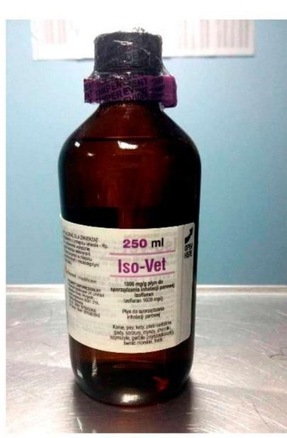 Ilustracja do pytania 33