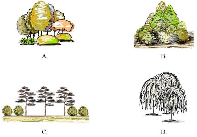 Ilustracja do pytania