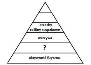 Ilustracja do pytania 31